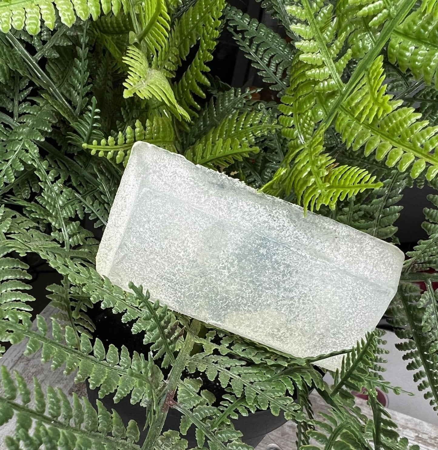 Savon Moringa